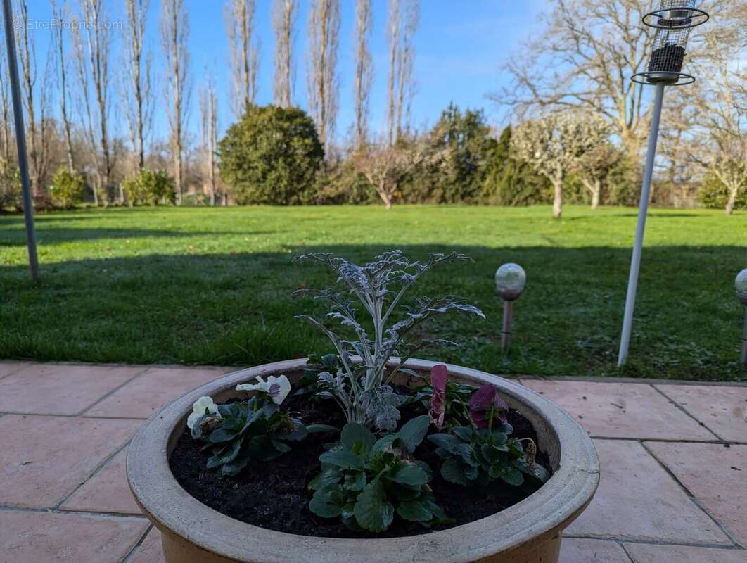 Maison à LATHUS-SAINT-REMY