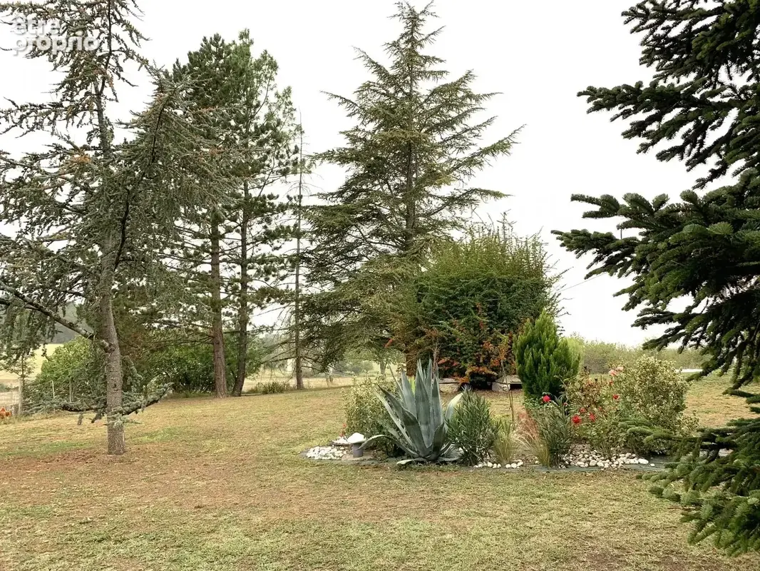 Ancienne ferme rénovée avec deux  maisons d'amis - photo 14