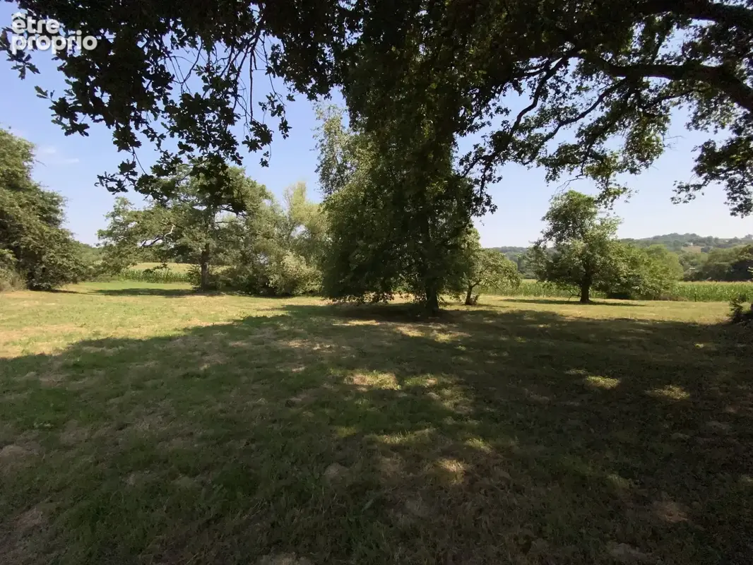 ARISTIMMO - Ferme à Monein - photo 18