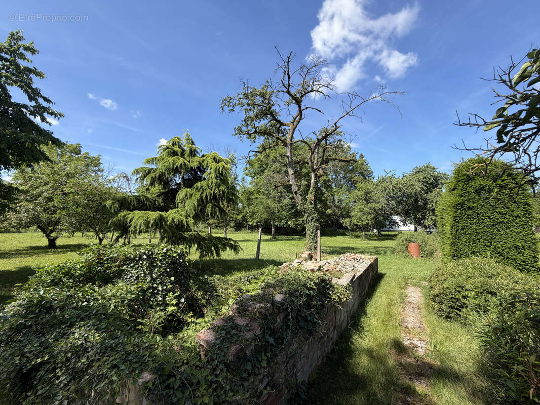 Maison mitoyenne F5 avec grange et dépendances sur 17,26 are - photo 14