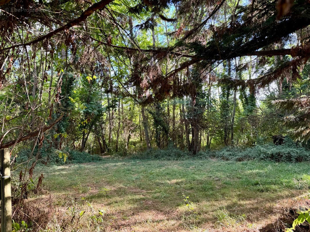 Maison à CASTILLON-LA-BATAILLE