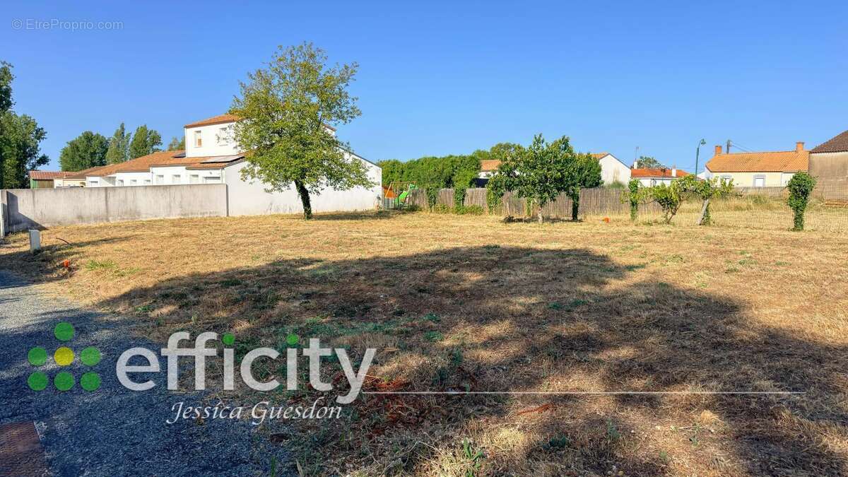 Terrain 384 m² à Soullans  - photo 5