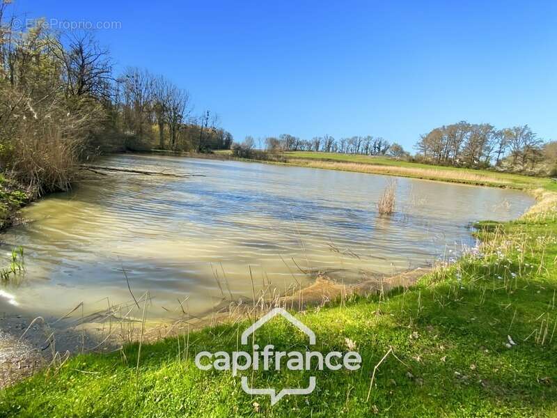 Terrain à SAVIGNY-SUR-SEILLE