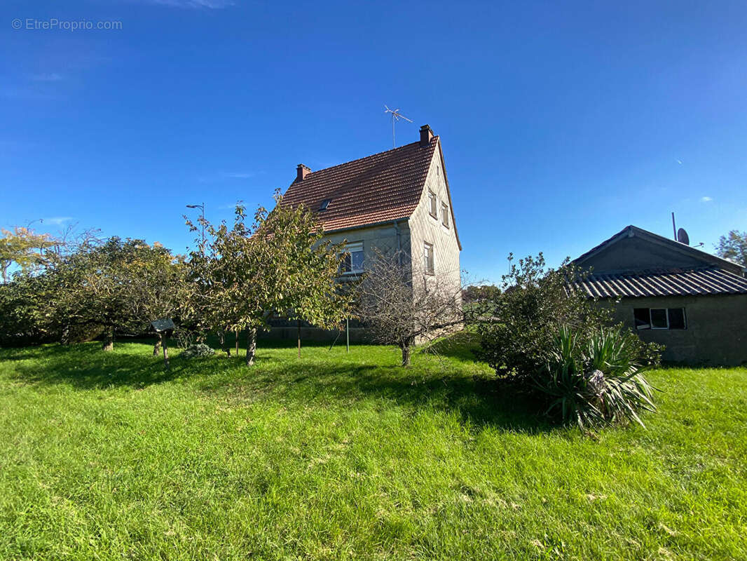 Maison à WITTELSHEIM