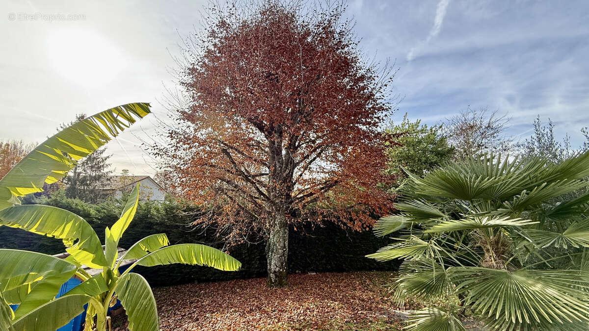 Maison à PREVESSIN-MOENS
