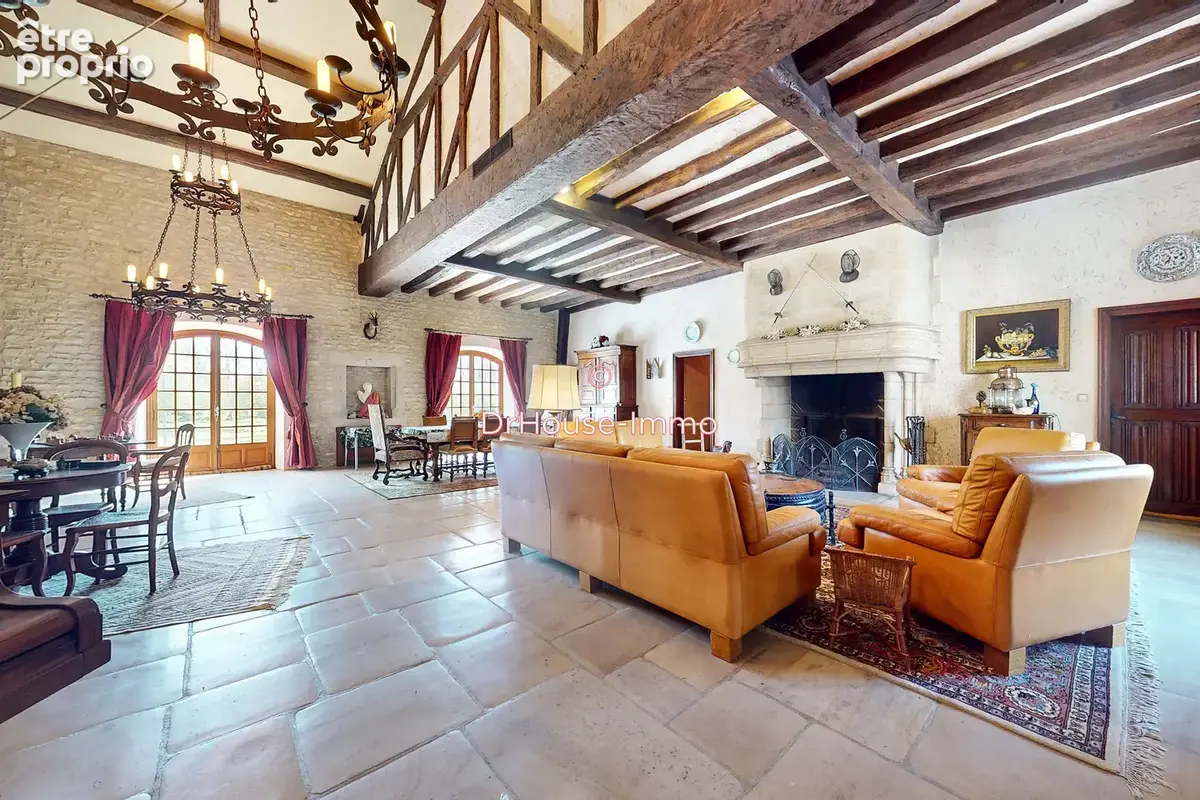 Maison 7 pièces 293 m² à vendre à Saint-Aoustrille (36100) - photo 29