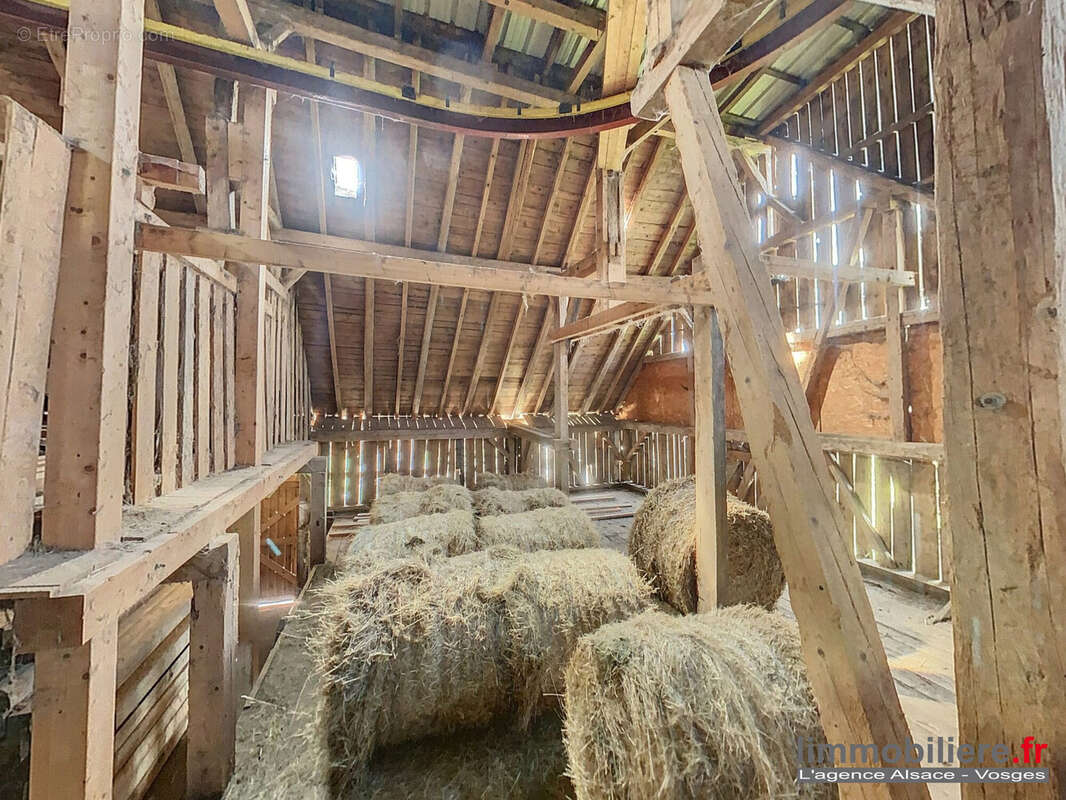 Maison à SAINTE-MARIE-AUX-MINES