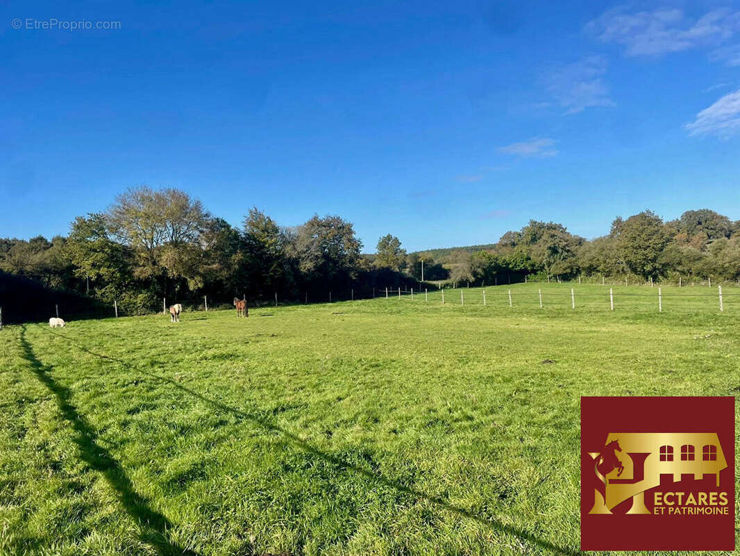 Maison à NORT-SUR-ERDRE