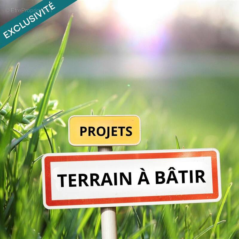 Photo 1 - Terrain à TOULON-SUR-ALLIER