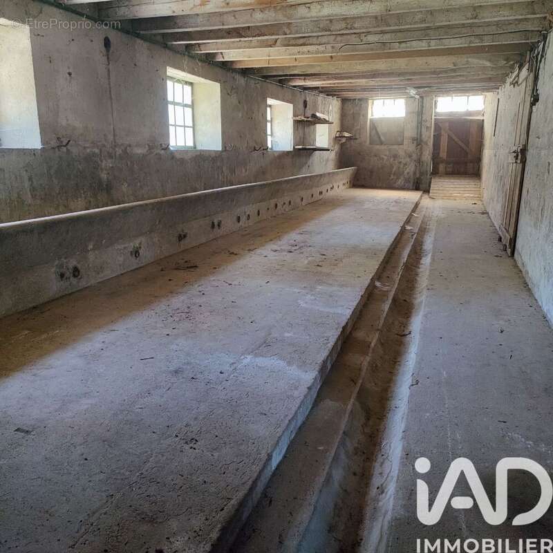 Photo 3 - Maison à SOLGNE