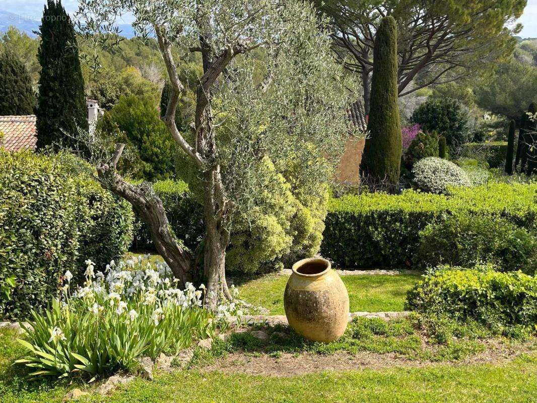 Maison à MOUANS-SARTOUX