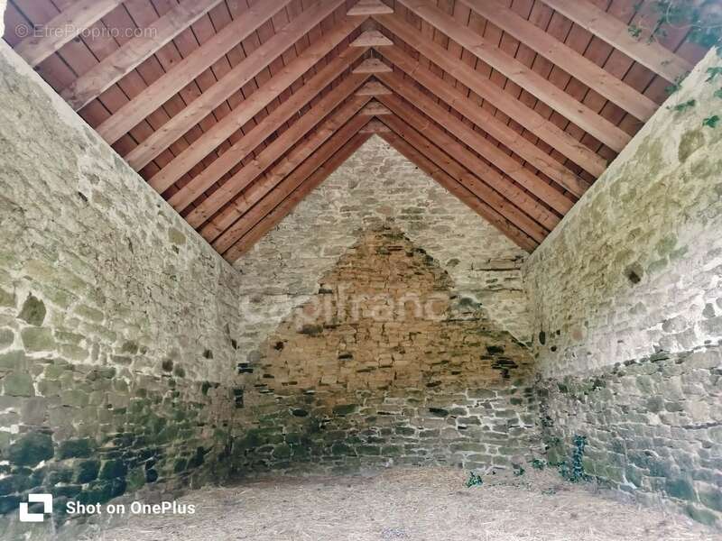 Propriété de caractère à berrien - hangar - 6 hectares - photo 13