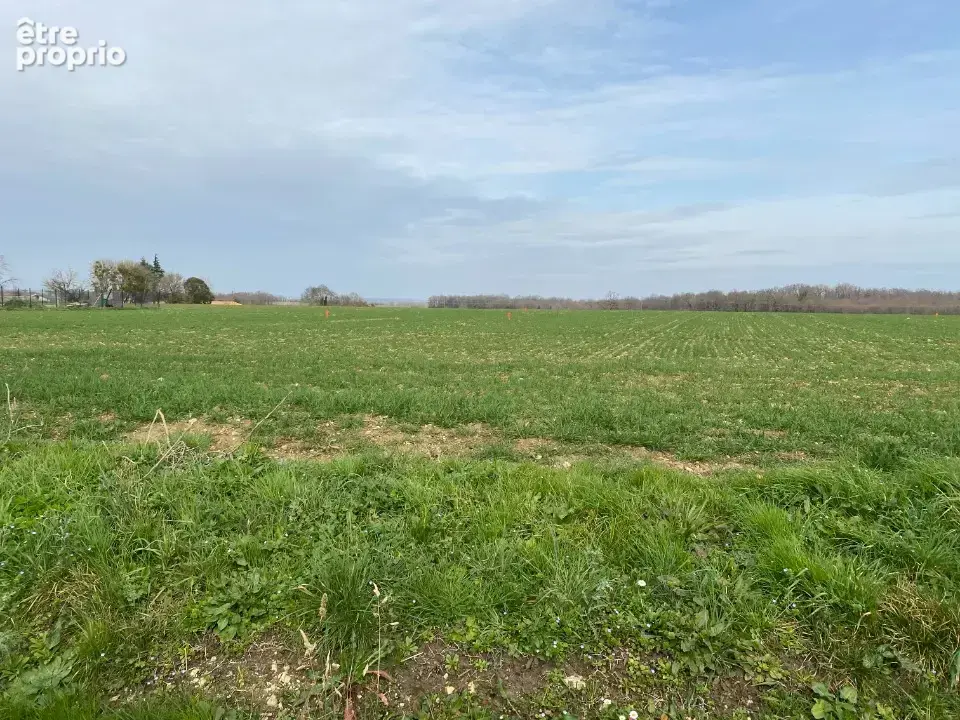 Terrain 753 m² à vendre à Plassay (17250) - photo 2