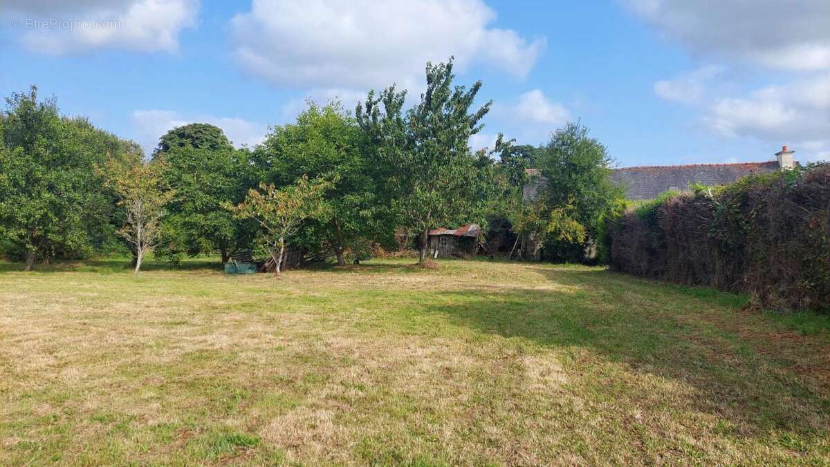 Maison de charme à la campagne - Plus de 15000m² de terrain - photo 3