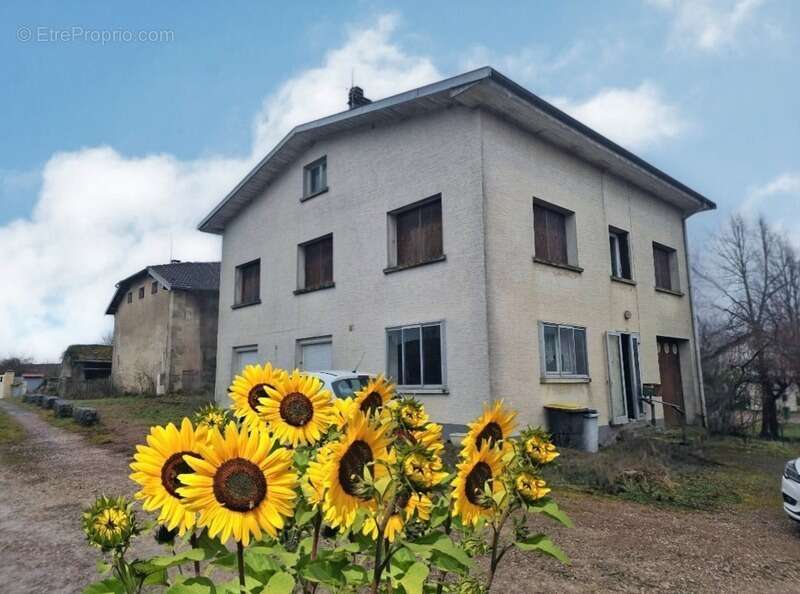 Maison à VITTEL