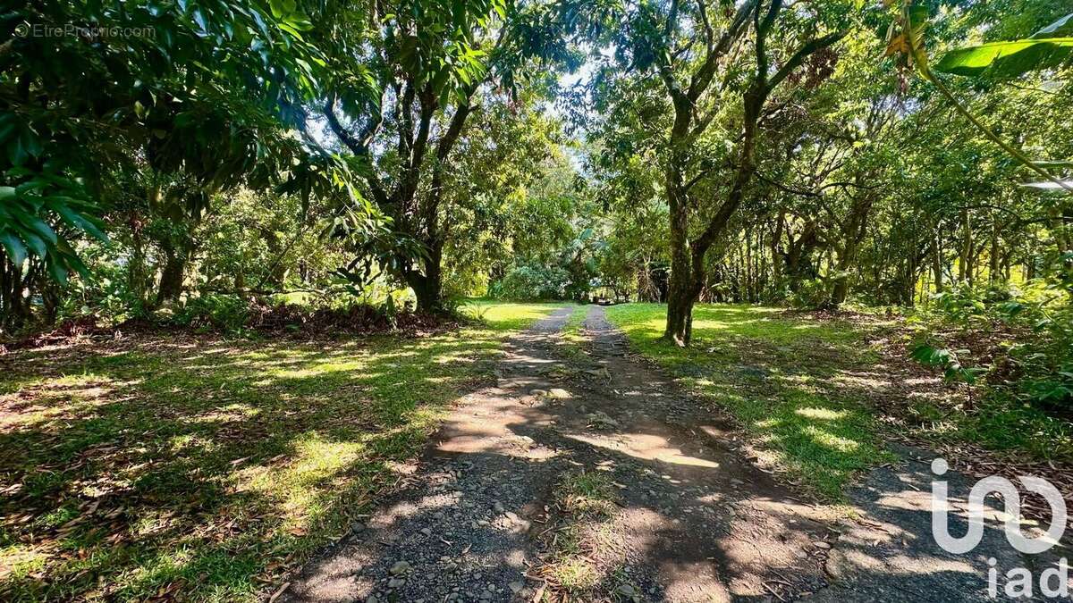 Photo 7 - Maison à SAINT-BENOIT