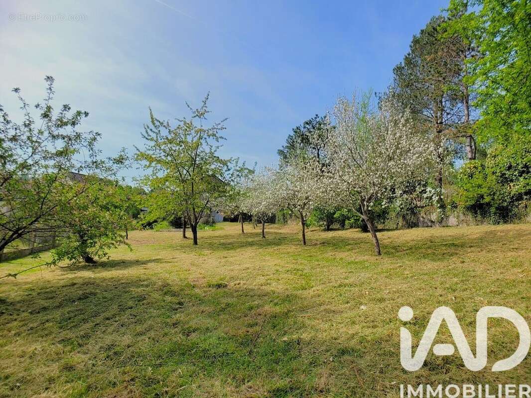 Photo 8 - Maison à BRIVE-LA-GAILLARDE