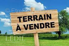 Terrain à LOUEY
