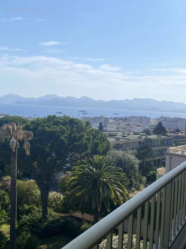 Cannes basse californie-tres beau 4p vue mer - photo 7