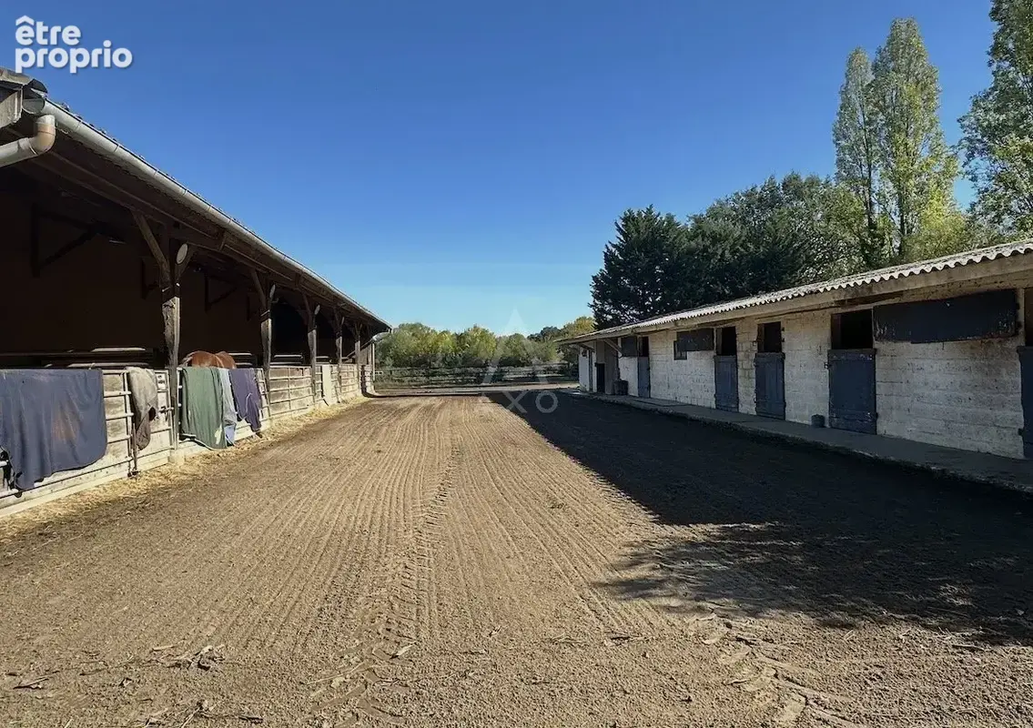 Haras de 32 hectares  3 pistes & Une ligne droite - 30 boxes - photo 15