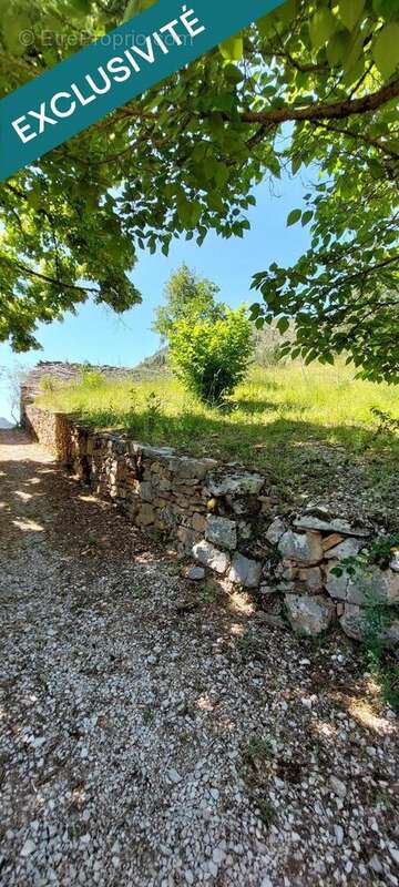 Terrain 3265 m² à Les Vignes  - photo 6
