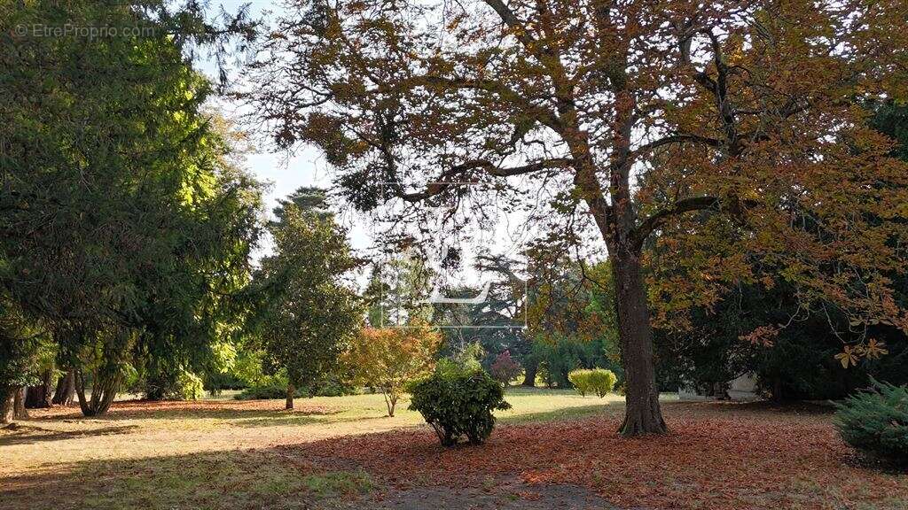 Château au calme à rénover, dépendances et orangerie - photo 9