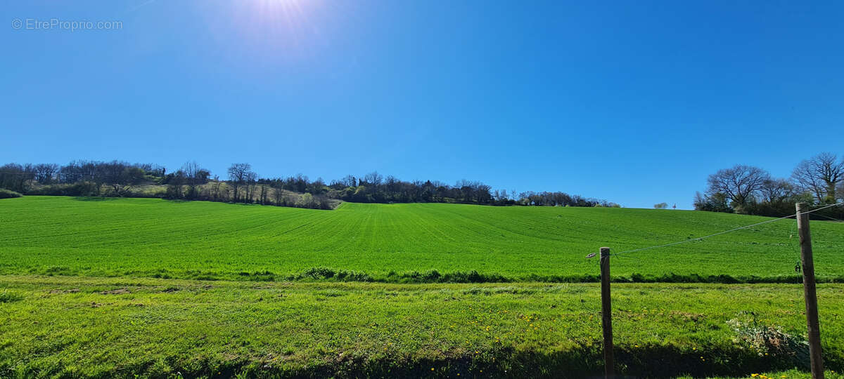Maison à LAGARRIGUE