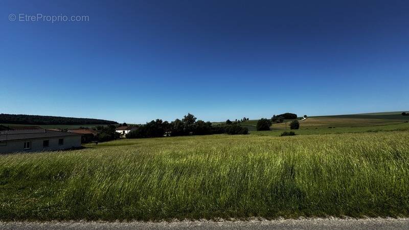 Terrain à AINCREVILLE