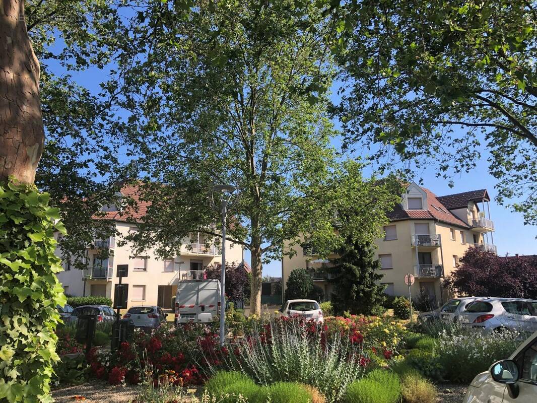 Appartement à NIEDERHAUSBERGEN