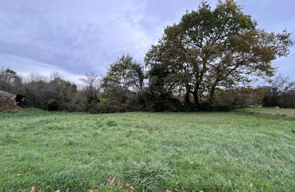 Terrain à ARTHON-EN-RETZ