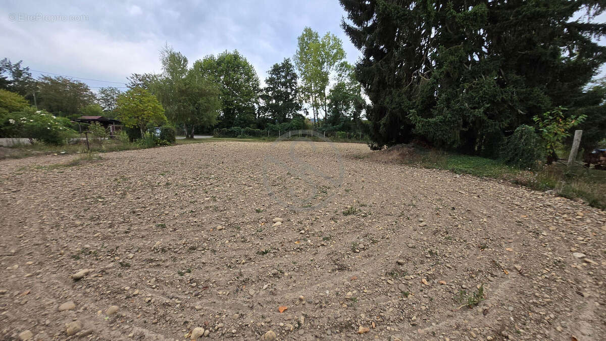 Terrain 800 M2 - photo 2