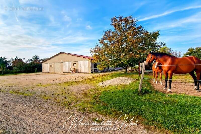 Maison à SAINT-BENIGNE