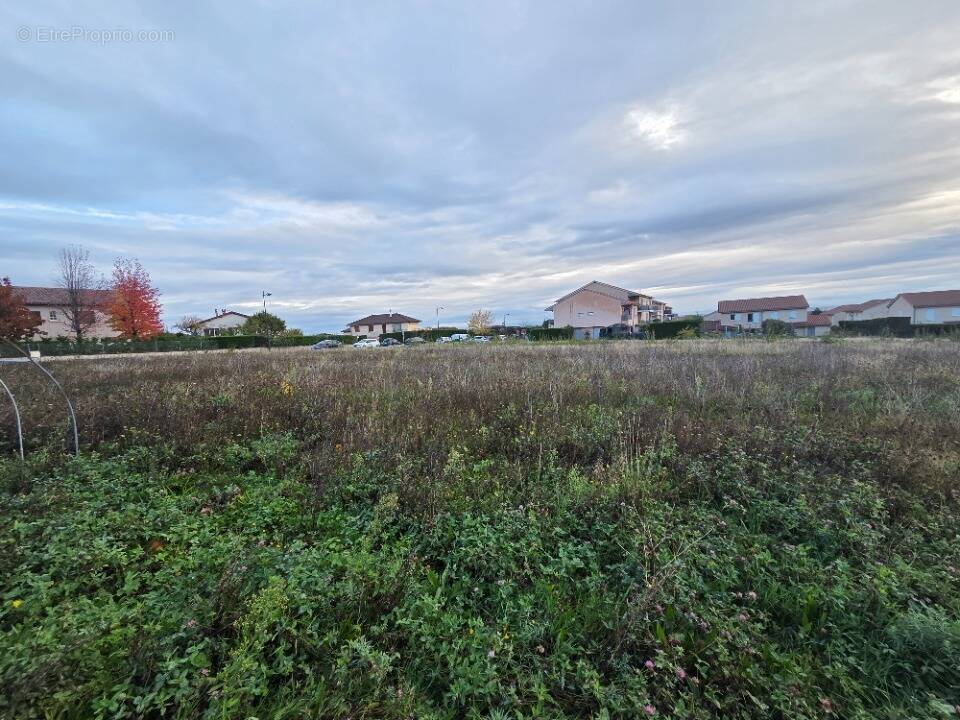 Terrain à ODENAS
