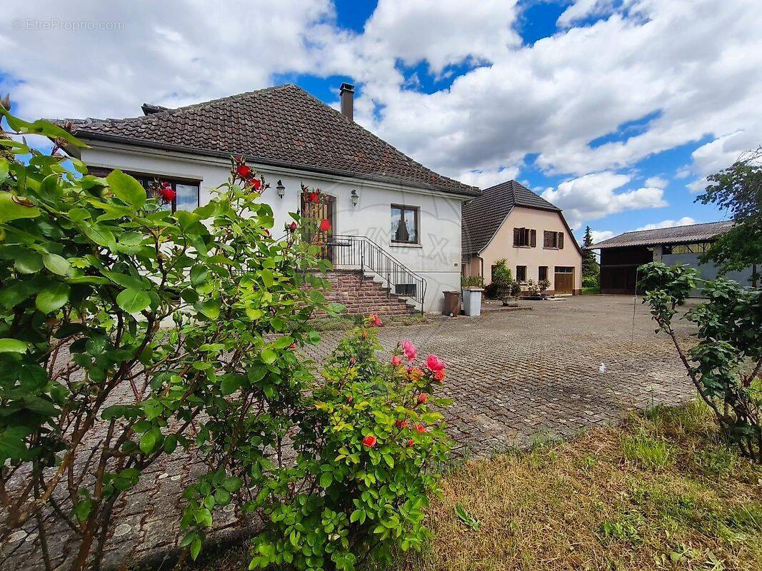 Maison à PFAFFENHEIM