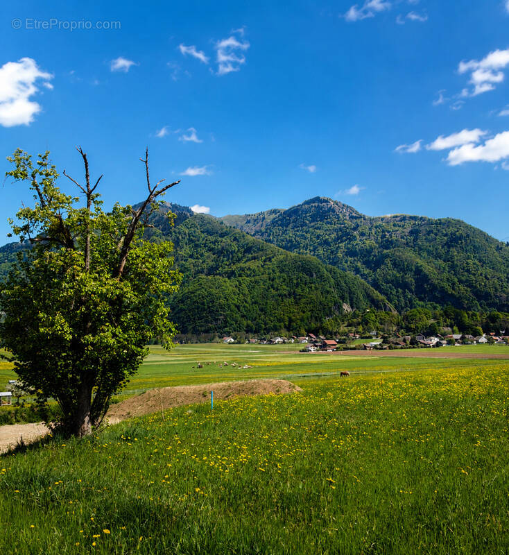 Terrain à VIUZ-EN-SALLAZ