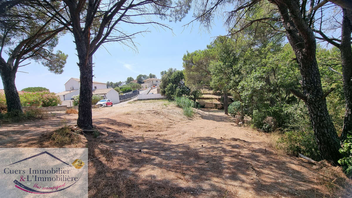 Terrain à PIERREFEU-DU-VAR