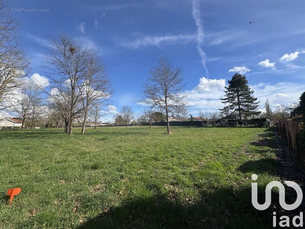 Photo 2 - Terrain à BRESSOLS