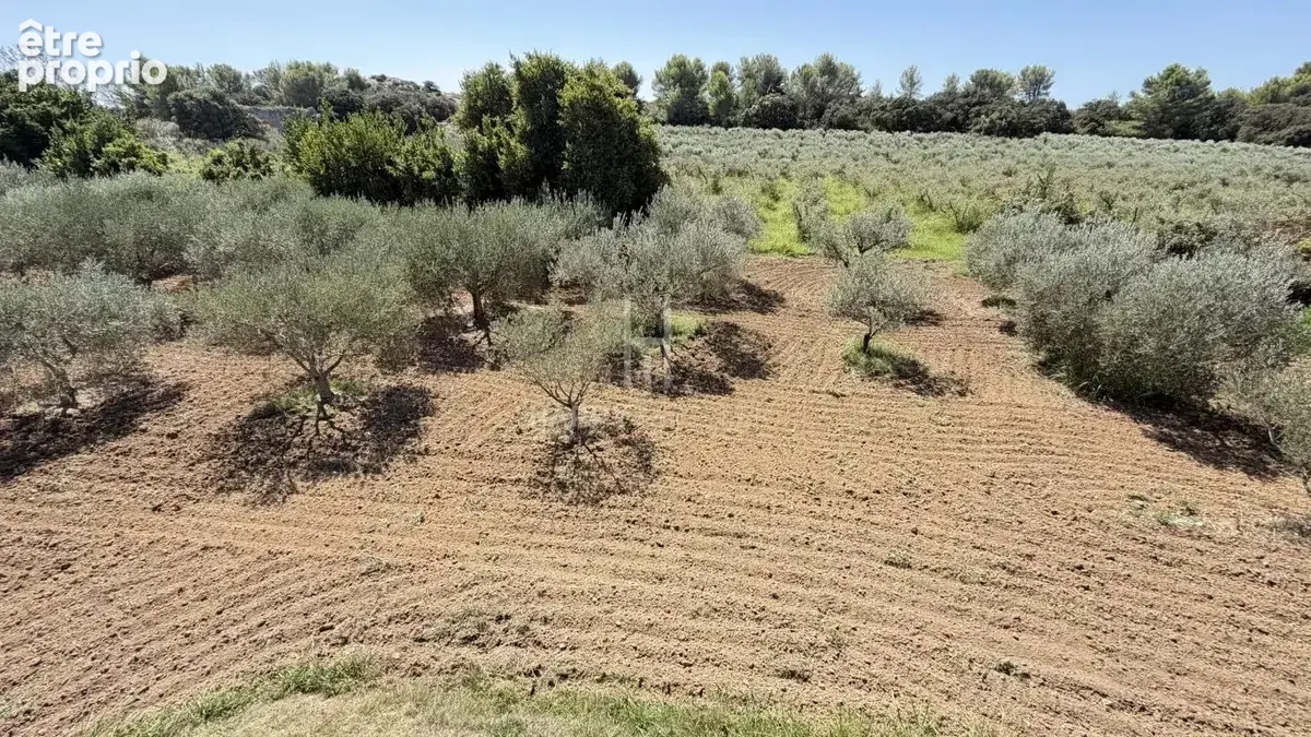 Propriété Alpilles Sud  dans site exceptionnel et protégé - photo 12
