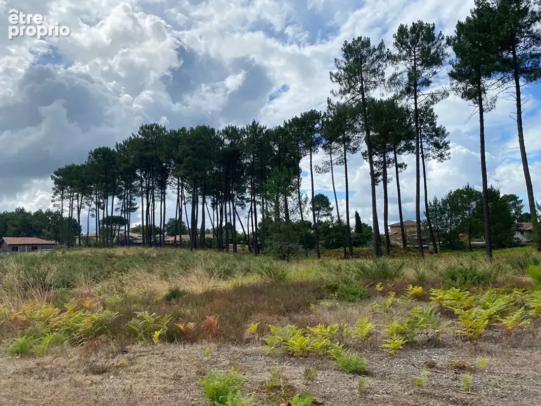 Terrain Rion Des Landes 1125 m2 - photo 3
