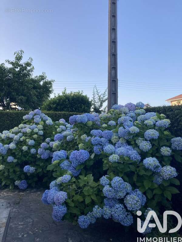 Photo 5 - Maison à TARBES