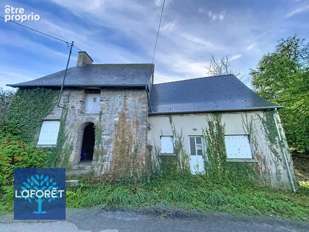 Maison Bille 3 pièce(s) 60 m2 - photo 1