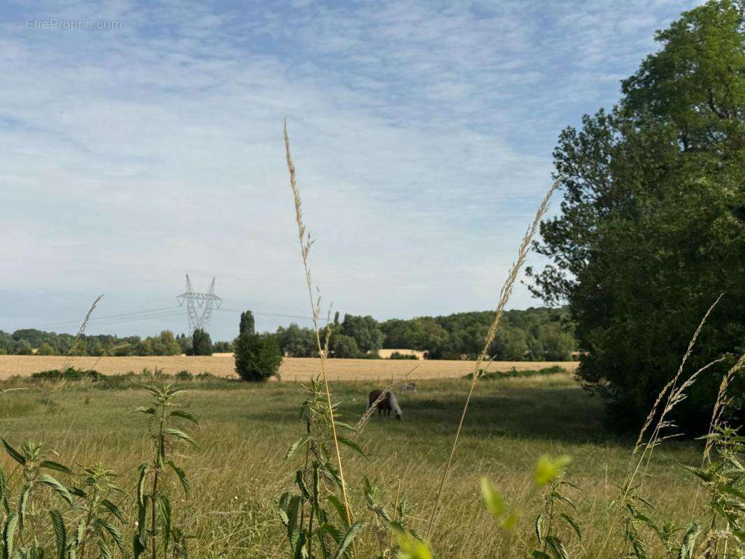 PENCHARD (77) - Terrain à bâtir - 558m² - photo 3