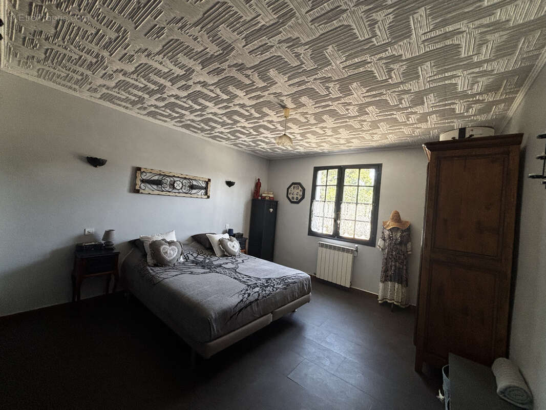 Proche pezenas -  maison independante de plain pied 3 chambres terrain 1345m2 grand terrain clos - photo 16