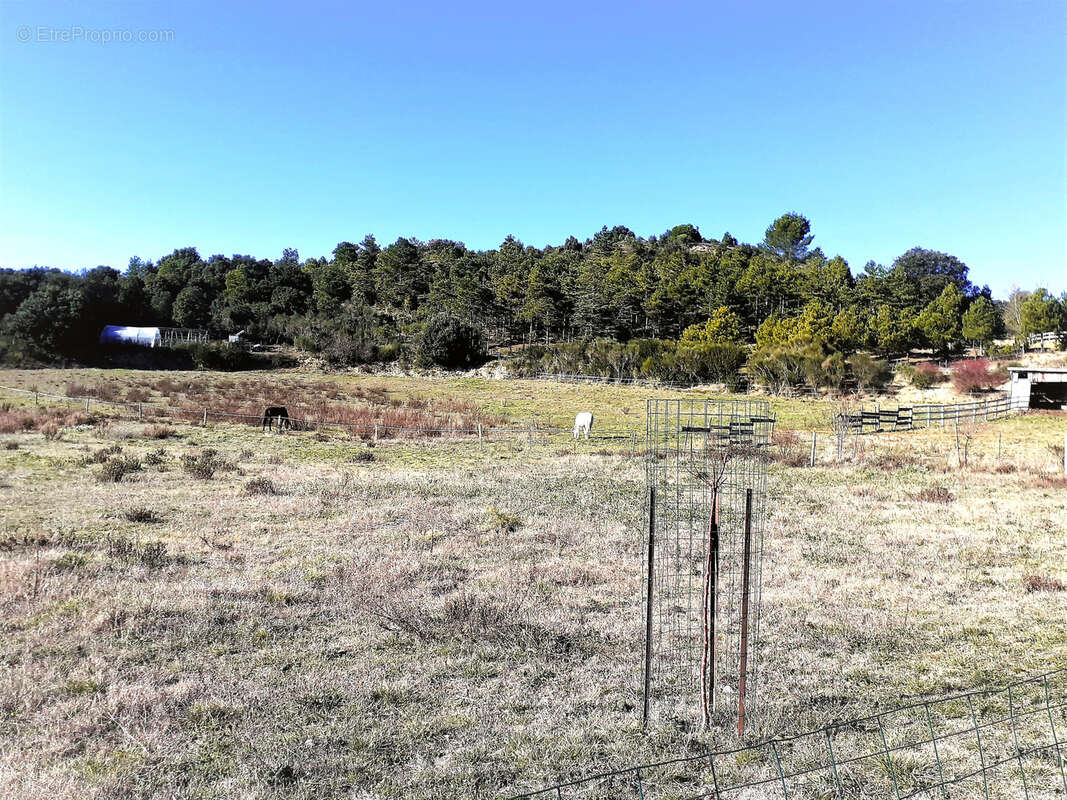 Terrain à LIMOUX