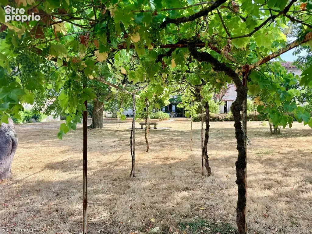 Très Beau Logis avec 6 chambres et Grand Terrain près de Ruffec - photo 46