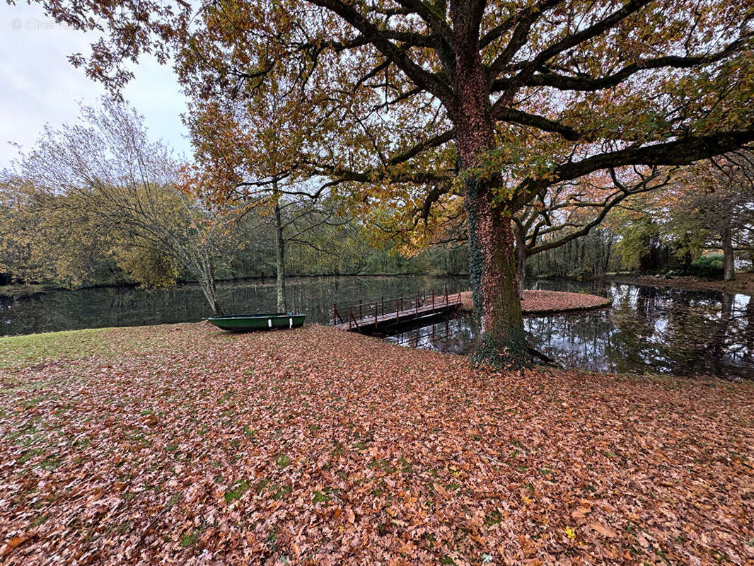 Propriete de 2 maisons  avec etang - photo 4