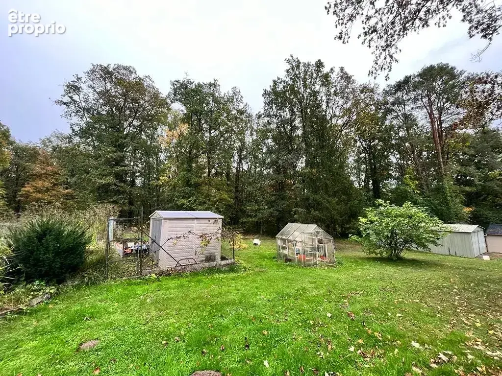 Sud seine et marne - charmant village - propriete en foret - photo 8