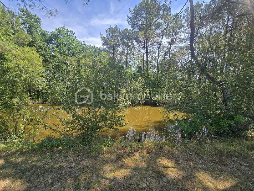 Propriété de caractère en pierre avec piscine, étang privé et 2,25 hectares de nature – Conne-de-Labarde - photo 12