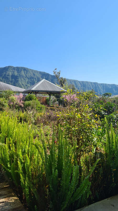 Maison à LA PLAINE-DES-PALMISTES