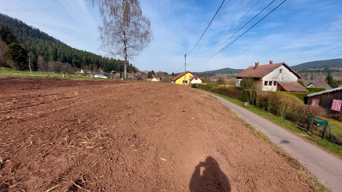 Terrain à BOURG-BRUCHE